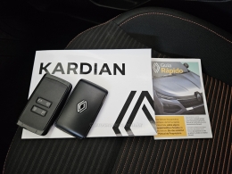 RENAULT - KARDIAN - 2024/2025 - Laranja - R$ 112.000,00